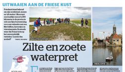 Friese kust